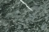Polished Stromatolite (Alcheringa) Slab - Billion Years #132908-1